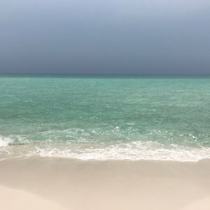 Meet your Posher, Tamie